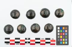 Foto von Bronzeniet (NHMW-PRAE-025909)